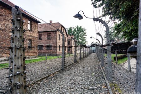 Auschwitz-5